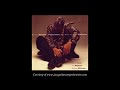 Kenny Garrett (1996) [LIKE SONNY]