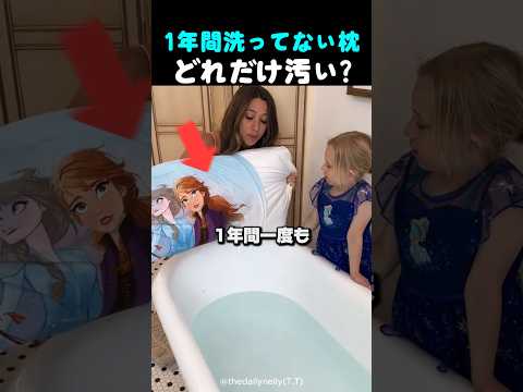 1年間洗ってない枕を水に浸けたら