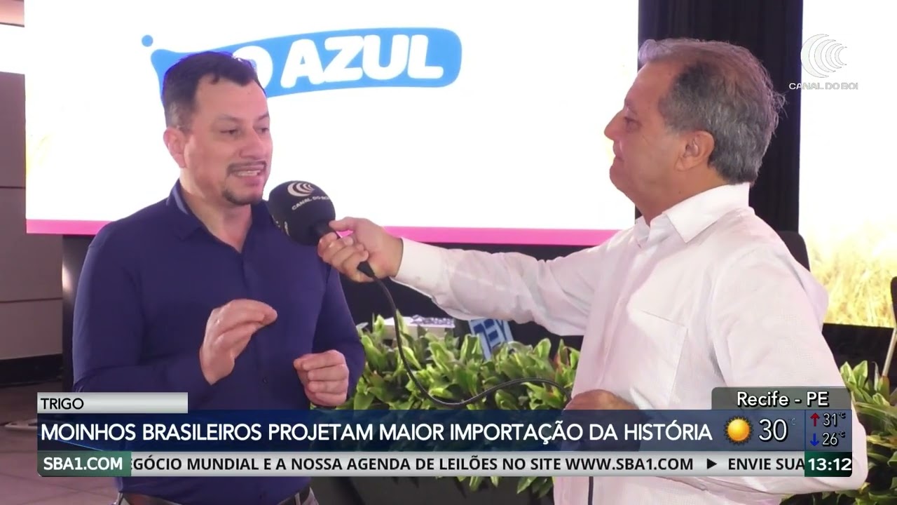 Trigo enfrenta desafios e déficit de abastecimento nesta safra