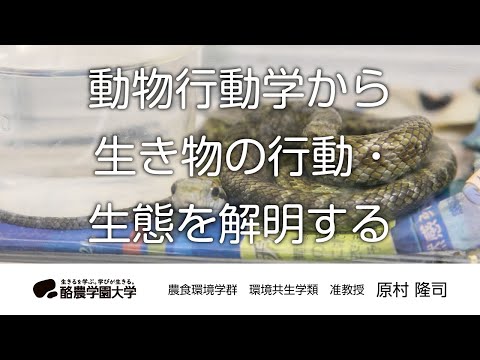 先端経営学科 環境共生学類　原村　隆司　｜　酪農学園大学　研究室・ユニット紹介