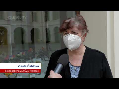 Výstava střídá výstavu