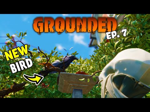 GROUNDED | NEW Bird! & Evicted by a Leaf! | EP7