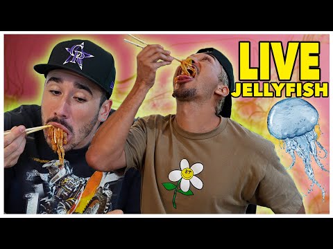 Eating JELLYFISH at this Colorado  Restaurant (Is this Legal?!?)