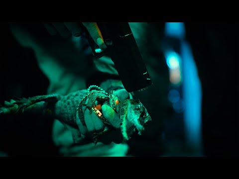 LACO$T€ 🐊❌ | @daniel.leytor $ @heyvigoo $ @prodtheenigma