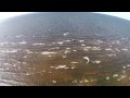 Кайтсерфинг. Сосновый Бор, Лен.обл. Kitesurfing. Video quadrocopter DJI ...