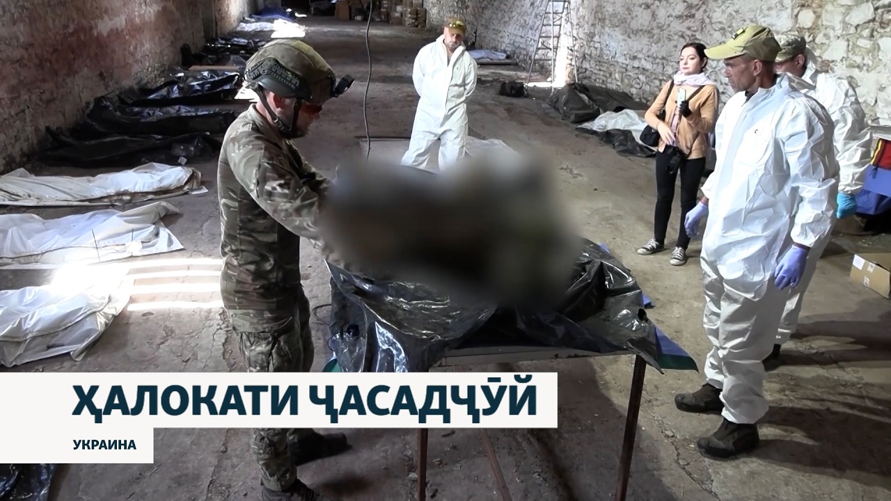 Фавти афсаре, ки ҷасадҳои сарбозонро пайдо ва ба наздикон месупорид