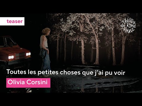 Teaser - Toutes les petites choses que j'ai pu voir 