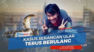 Kasus Kematian Akibat Serangan Ular Terus Berulang, Apa yang Harus Kita Lakukan?