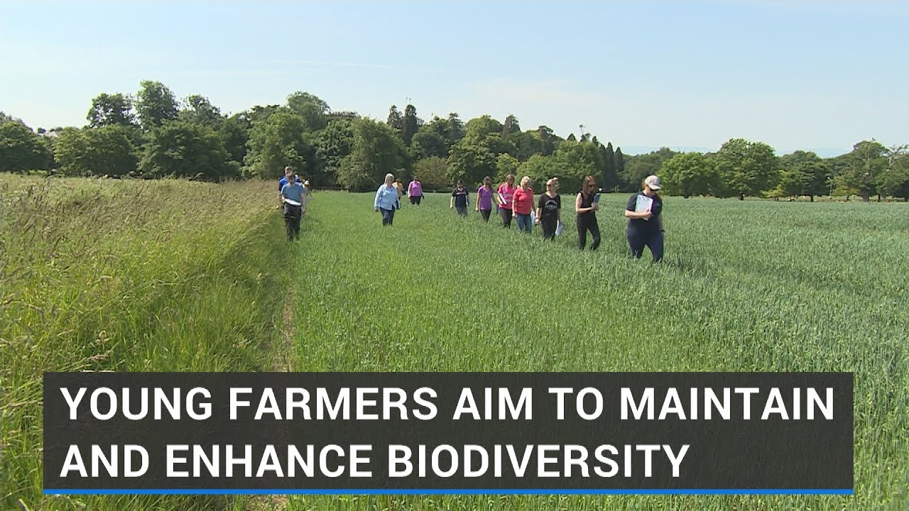 Younger farmers aim to enhance biodiversity