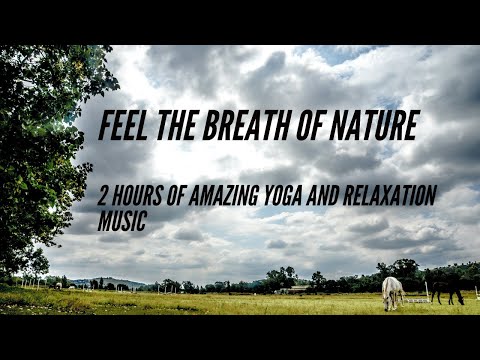 Relax With Wild Horses  | 2 hours of amazing yoga and relaxation music