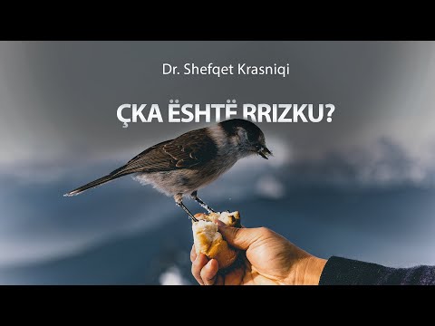 Çka është rrizku - Dr. Shefqet Krasniqi | SHKËPUTJE