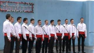 preview picture of video 'Colinde traditionale - Macin - Liceul Gh. Munteanu Murgoci'