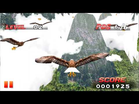 Bird Race 3D Video