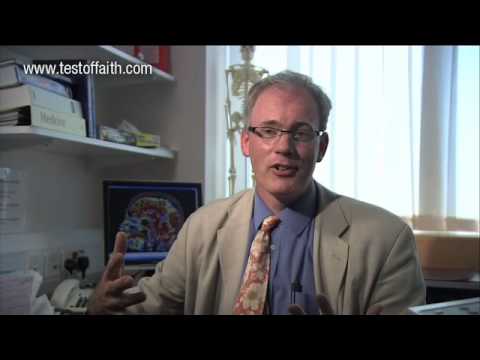 Where is belief located in the brain?