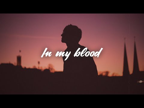 Shawn Mendes - In My Blood (Lyrics)