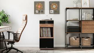 Andover-One Premiere Record Player Music System