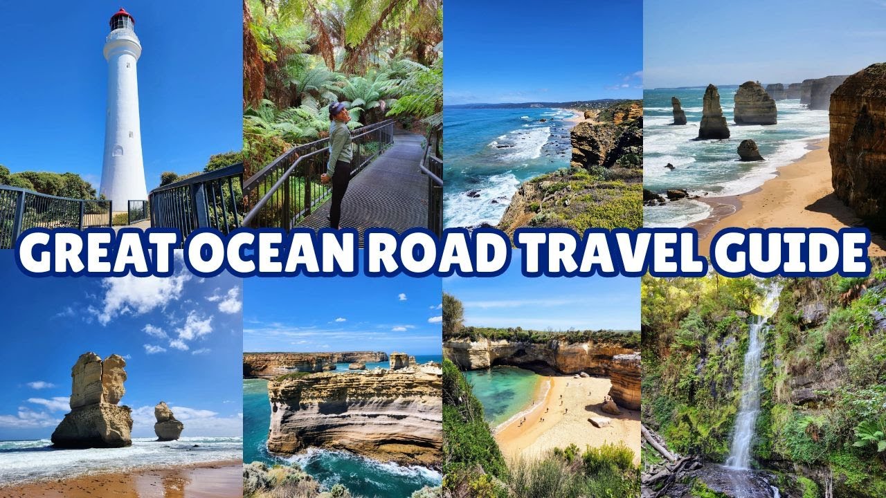 Did you know koalas sleep up to 20 hours a day? Just got back from 3 days on the Great Ocean Road! 🐨