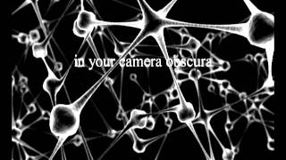 Side Liner - Camera Obscura (vs Red Eye Express)