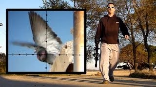 Pigeon Hunting Slow-Motion (Nov 4, 2010)