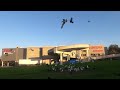 Charlie Outsmarts The Seagulls And The Herring Gulls Dominate The Feeding Station