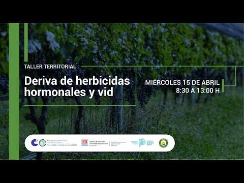 Taller Territorial: Deriva de herbicidas hormonales y vid