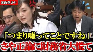 【参政党】さやの暴露に財務省が大慌て 国民を騙すのはもうやめてください【高市早苗】【神谷宗幣】【塩入清香】#参政党 #記者会見 #神谷宗幣  #政治 #国政  #日本の政治