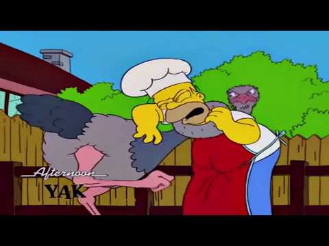 ''Beauty and The Bear'' Part 23 - The Castle is Under Attack