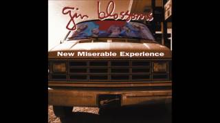 Gin Blossoms - 29