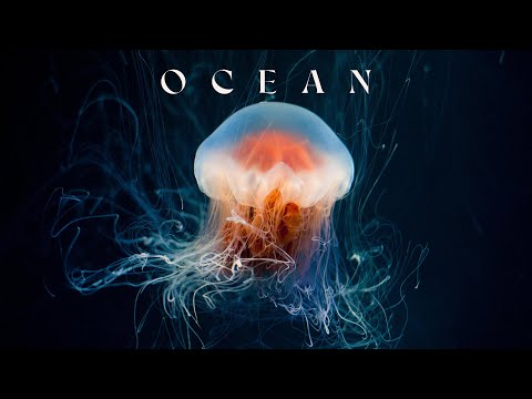 Ocean - Underwater Ambient Journey - Mysterious Ambient Music For Focus And Concentration