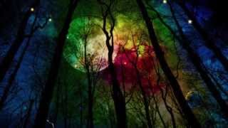 Barry Wedgle 'Solar'