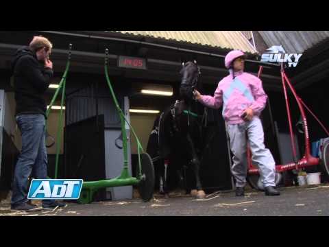 Sur la route du Grand Prix d'Amérique - Episode 2 : Le Prix Doynel de Saint-Quentin