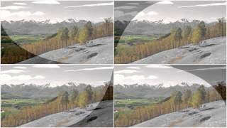 Ida Redig -  Everywhere