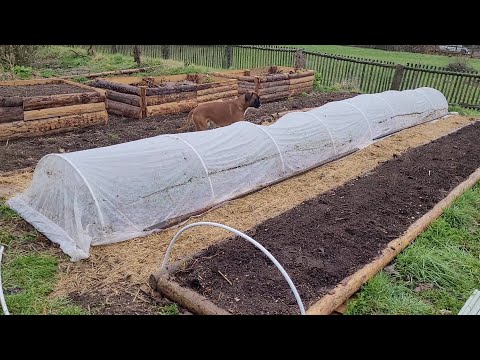 Potravinová soběstačnost - Jak vyrobit jednoduše a levně tunel pro ochranu rostlin na záhonky