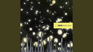 20 Minutes / 40 Years