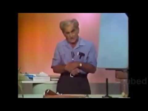 Snap Back To Reality