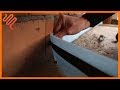 Installatievideo
