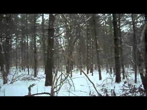 Midwinter