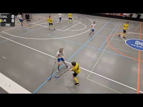 Salba vs. SBS Lieto maalikooste