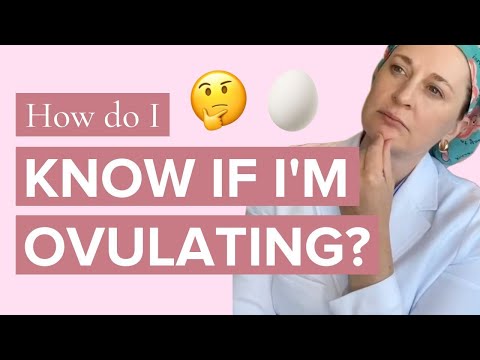 It Can Be Confusing But You’ve GOT to Know Signs of Ovulation to Maximize Chances - Dr Lora Shahine