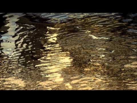 * Thomas Clements * Luis Paniagua * MARERE * Daniel Osvaldo Caso *