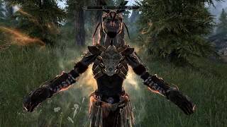 path of the druid