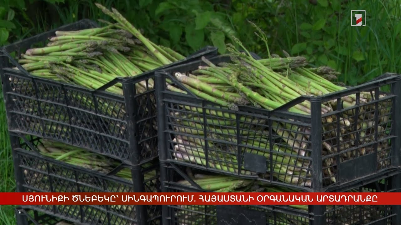 Սյունիքի ծնեբեկը՝ Սինգապուրում. Հայաստանի օրգանական արտադրանքը