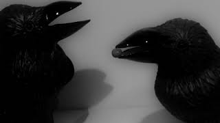 Leather Jacket - Ben Folds Five Cover - Covers - Dima