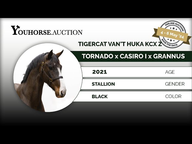 Tigercat van't Huka kcx Z