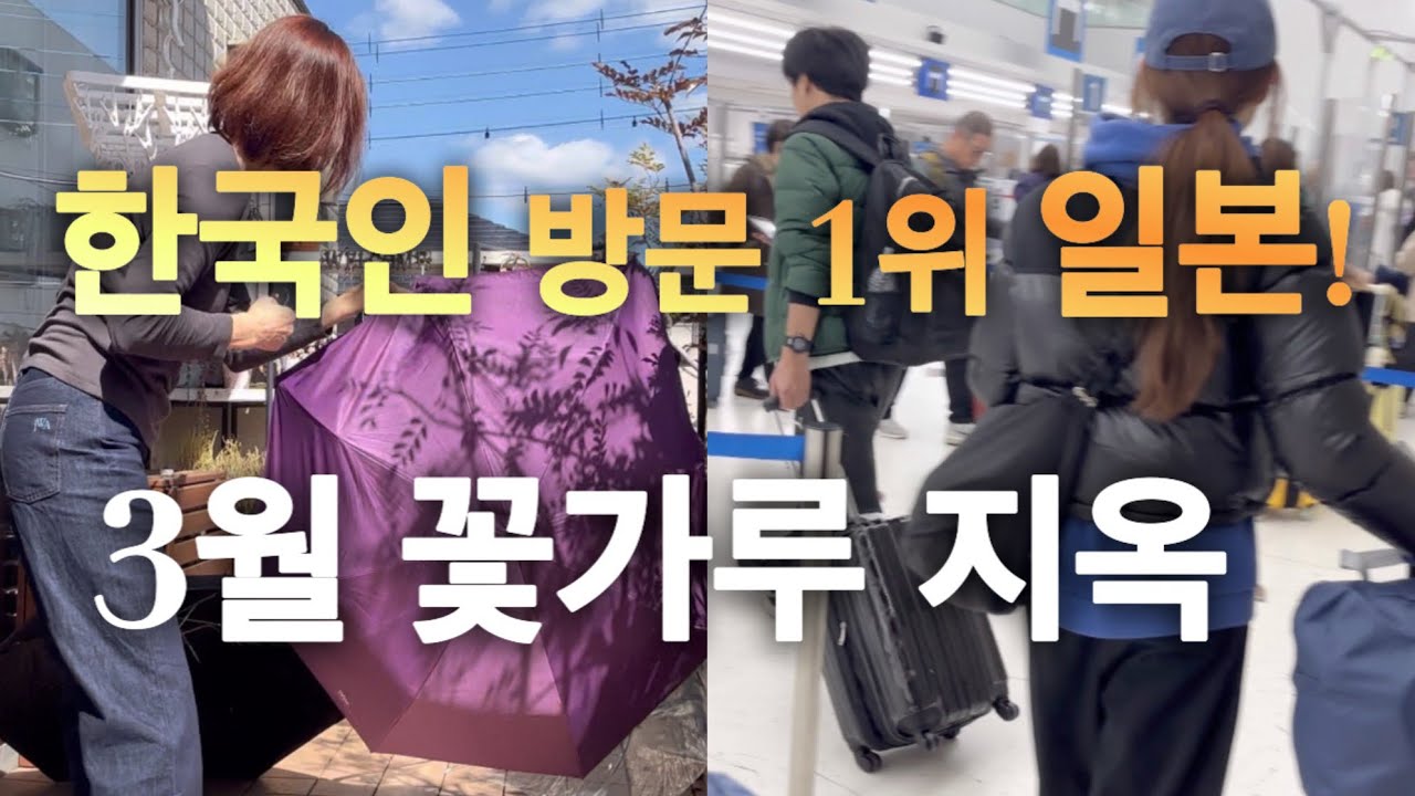 한국인이 가장 많이 찾는 일본, 하지만3월은 … 인구 40%가 고통받는 이유