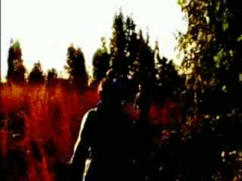 Breadcrumbs And Bruises