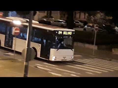 Valpibus 256 - v94