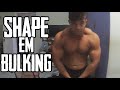 Meu shape em 6 semanas de bulking