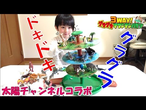 太陽チャンネル×立石学園コラボ！アニアのバランスゲームで遊んだよ【毎日19時！立石学園】