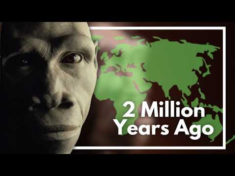 Homo Erectus: The First Human Species to Leave Africa